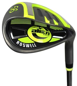 Roswell Wedge