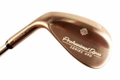 Professional Open Series 690 golf club