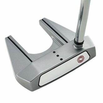 Golf putter club head with silver finish.